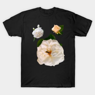 A rose by any other name would be just as sweet - white roses save the bees T-Shirt